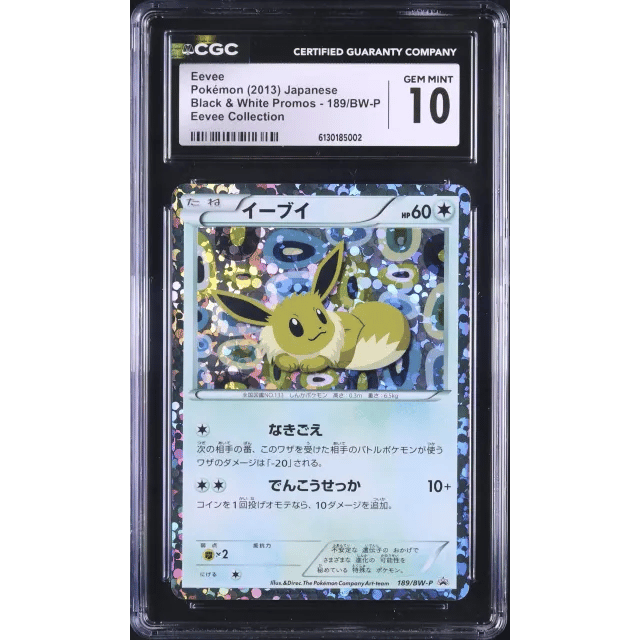 Japanese Eevee Promo Holo sunfaded Collection File #189 — Copy 4